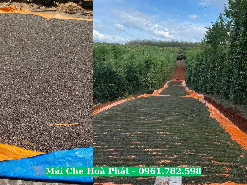 Ứng dụng bạt xanh cam trong nông nghiệp