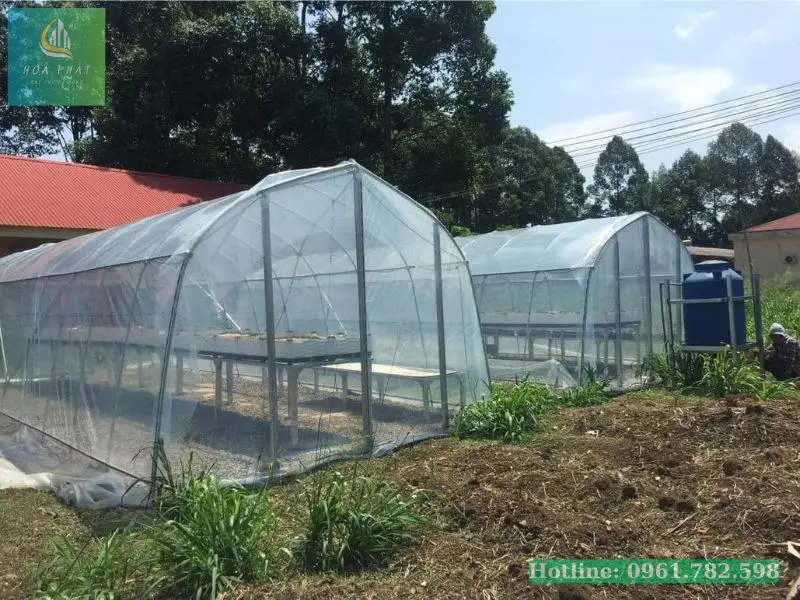Bạt trong suốt giá rẻ